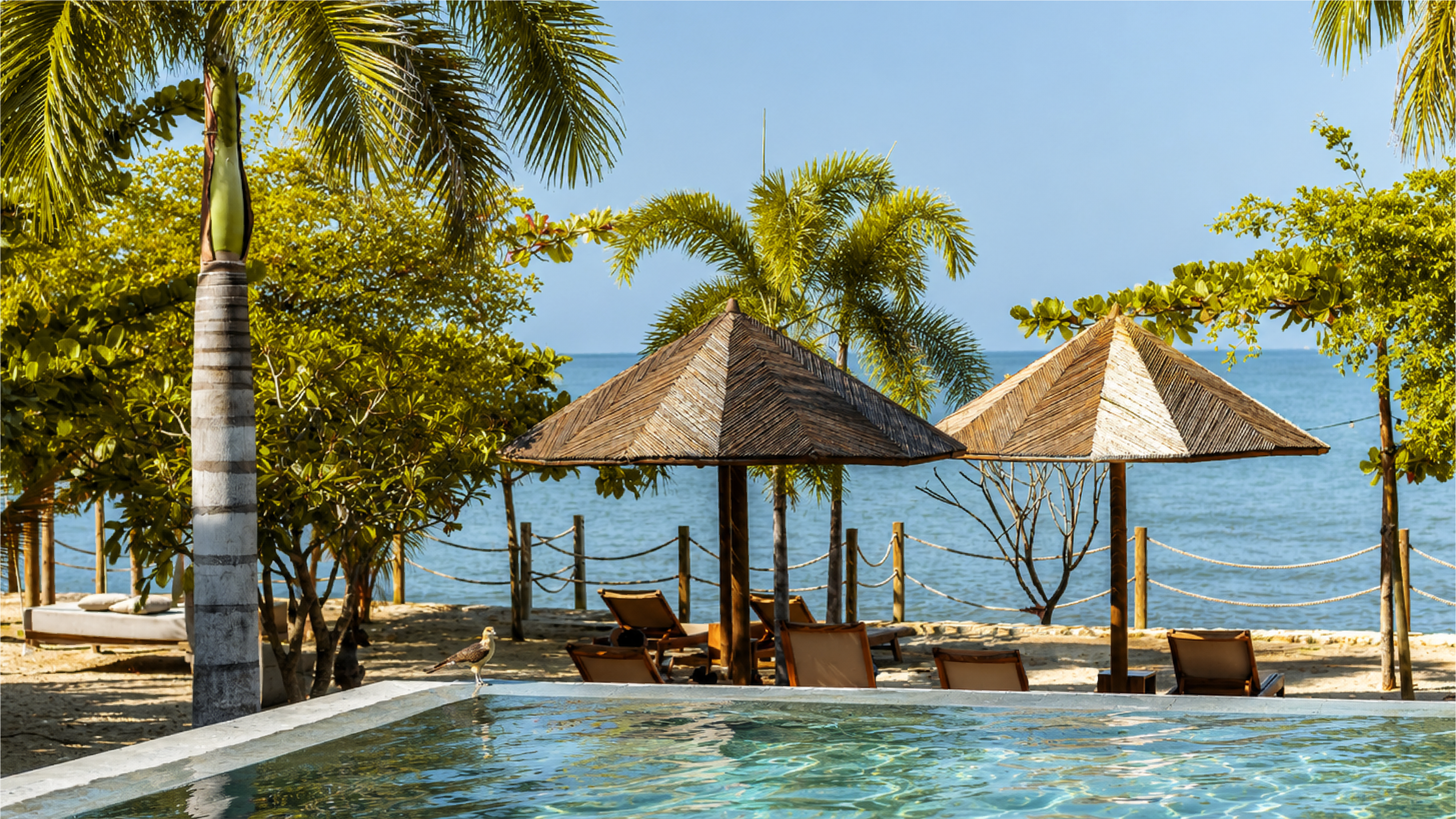 Beach resort with palm trees, sun loungers, and thatched umbrellas by the ocean.