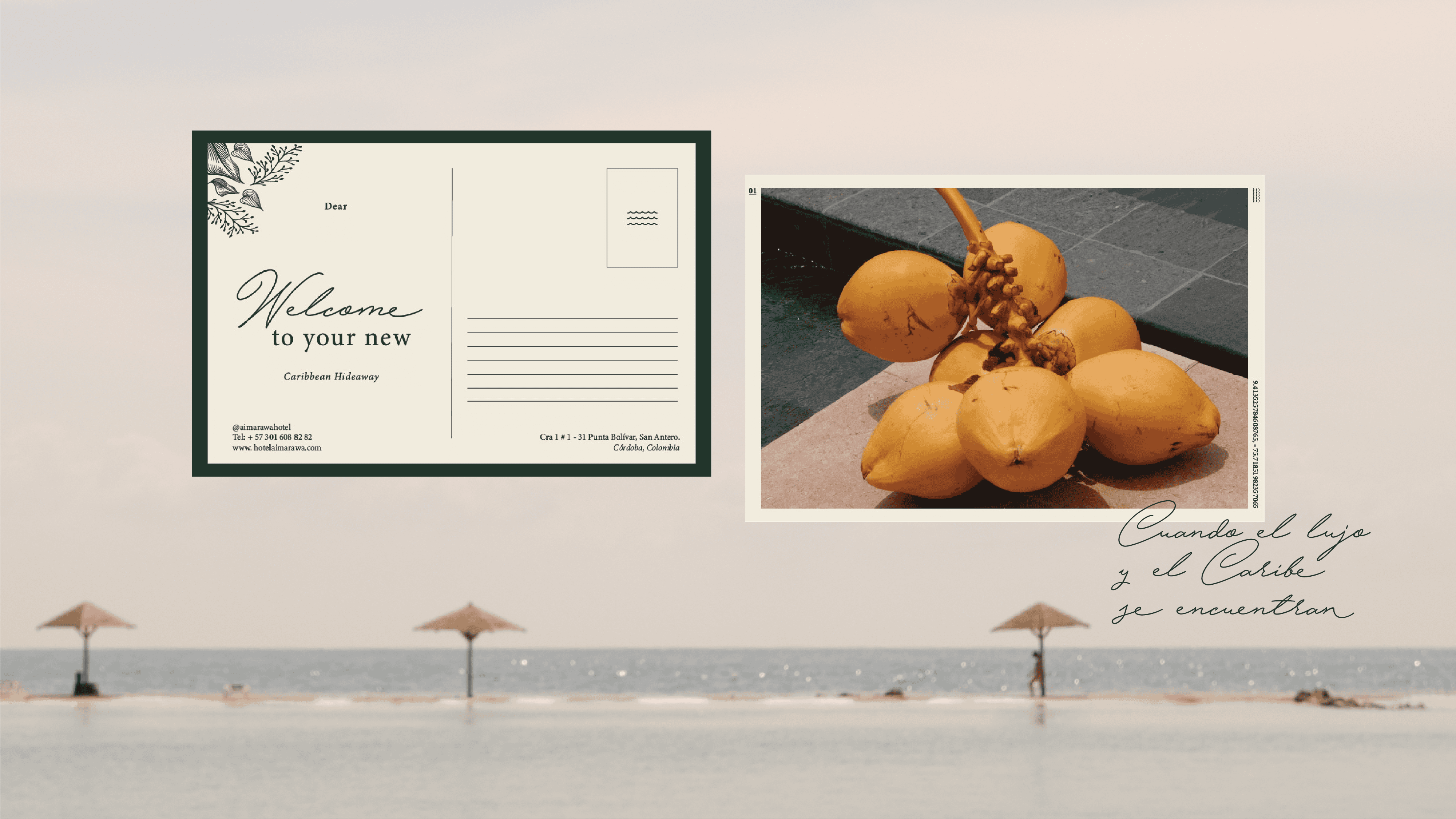 Postcard featuring a cluster of ripe yellow mangoes on a dark surface.