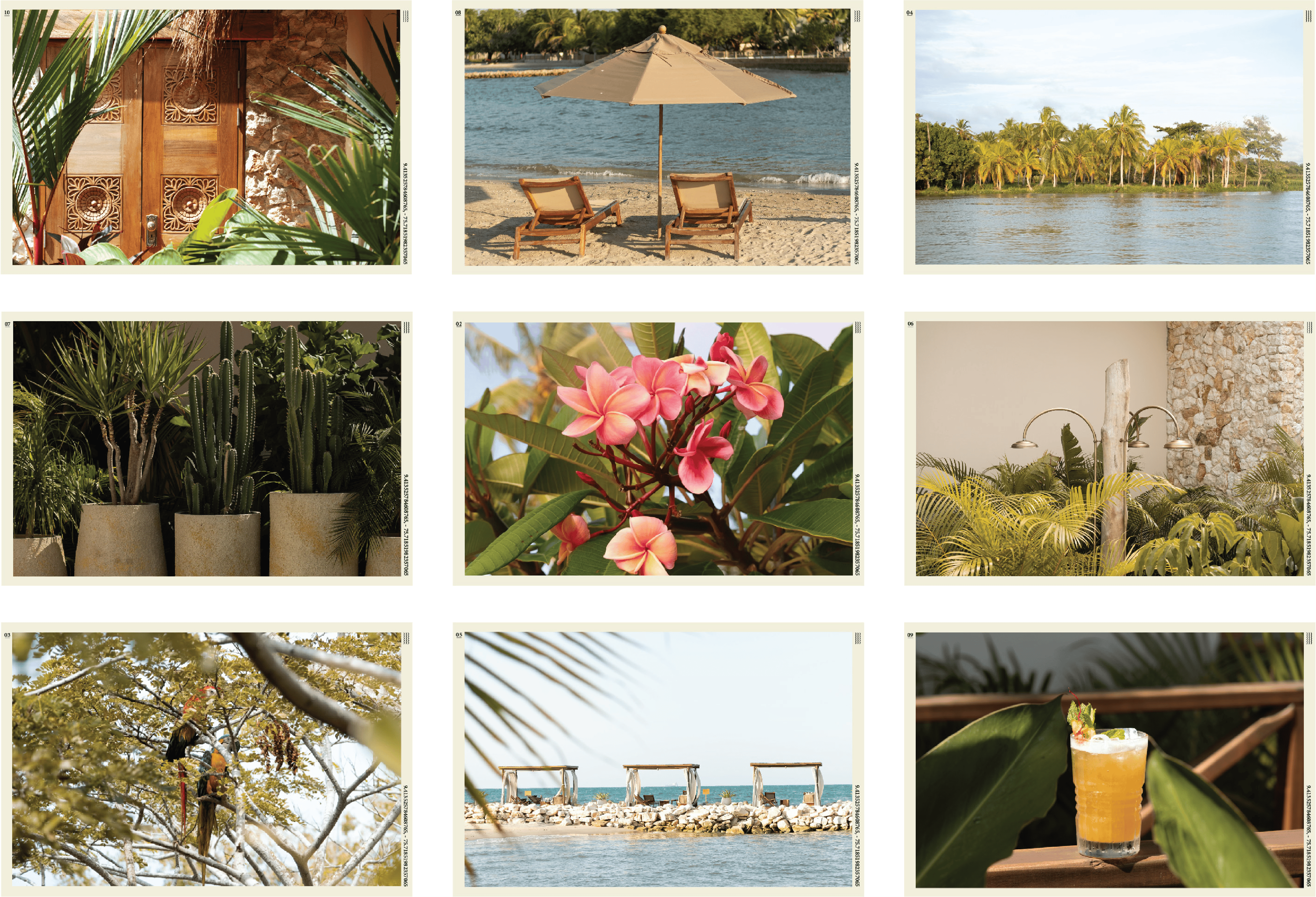 Scenic tropical beach with lounge chairs, palm trees, and clear waters.
