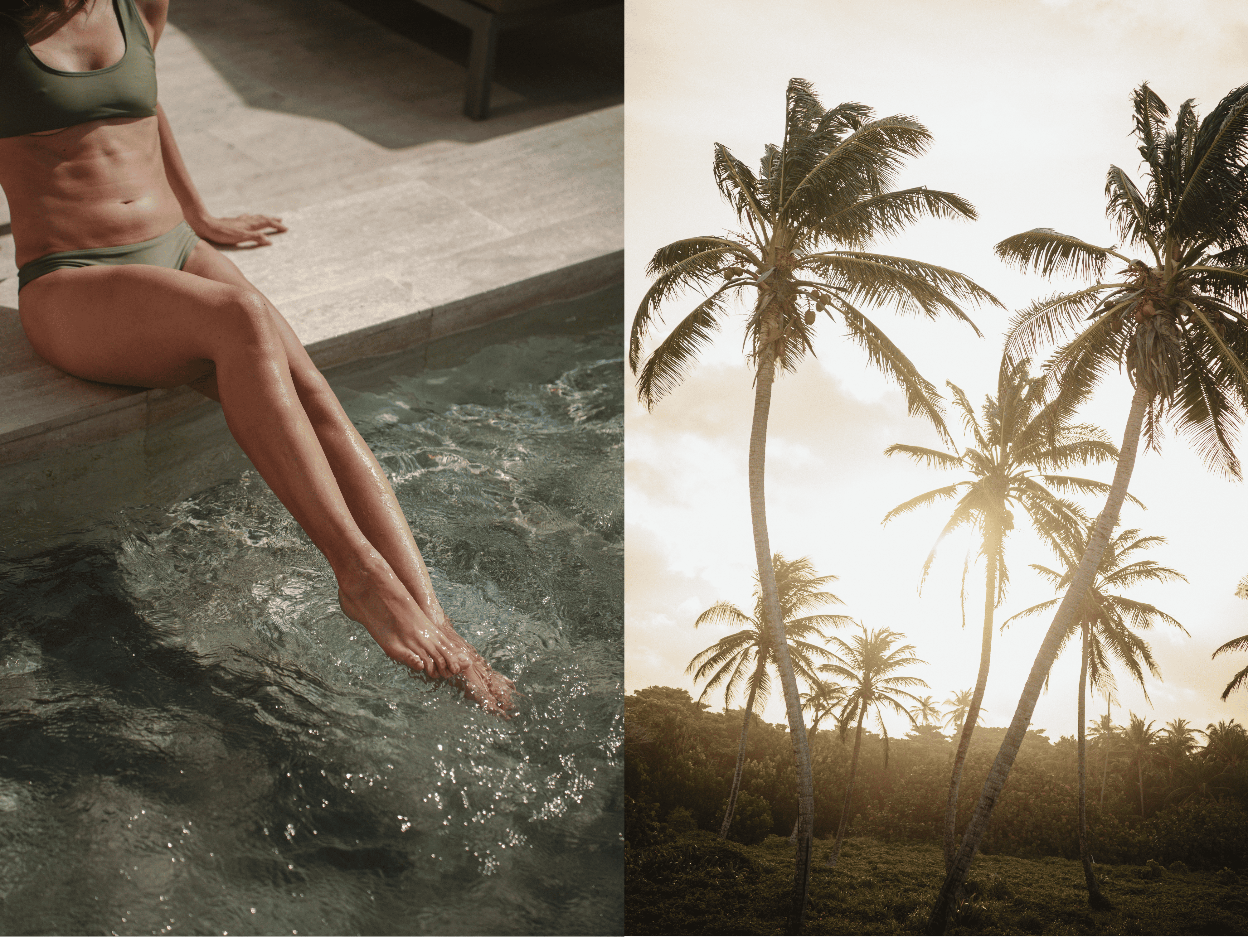 Beautiful tropical palm trees swaying at sunset in a lush landscape. Perfect for vacation, relaxatio.