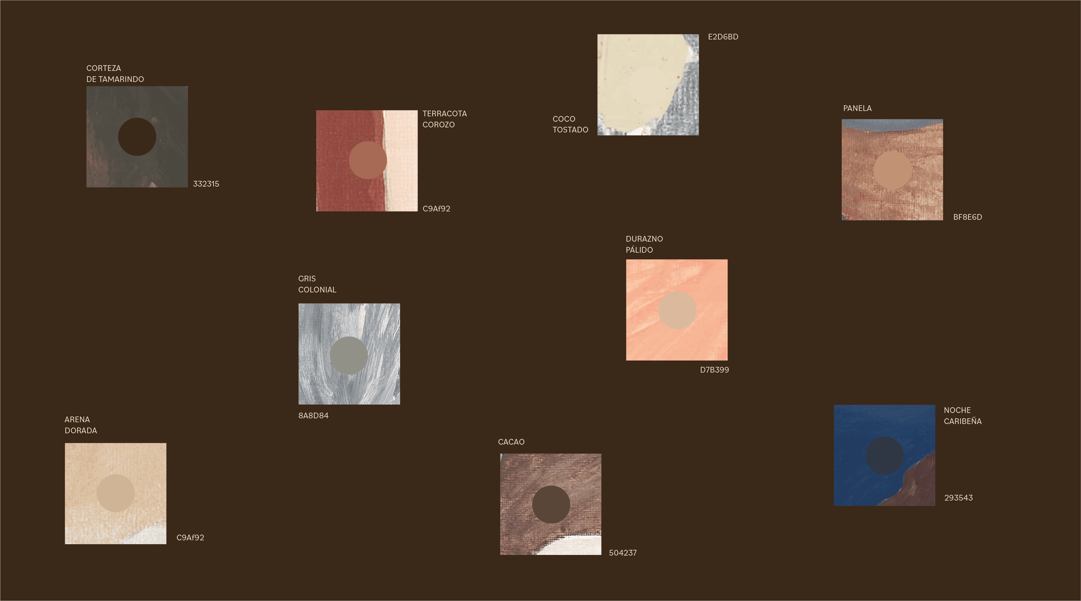 Diverse color palette samples from Butiq World showcasing earthy and vibrant tones.