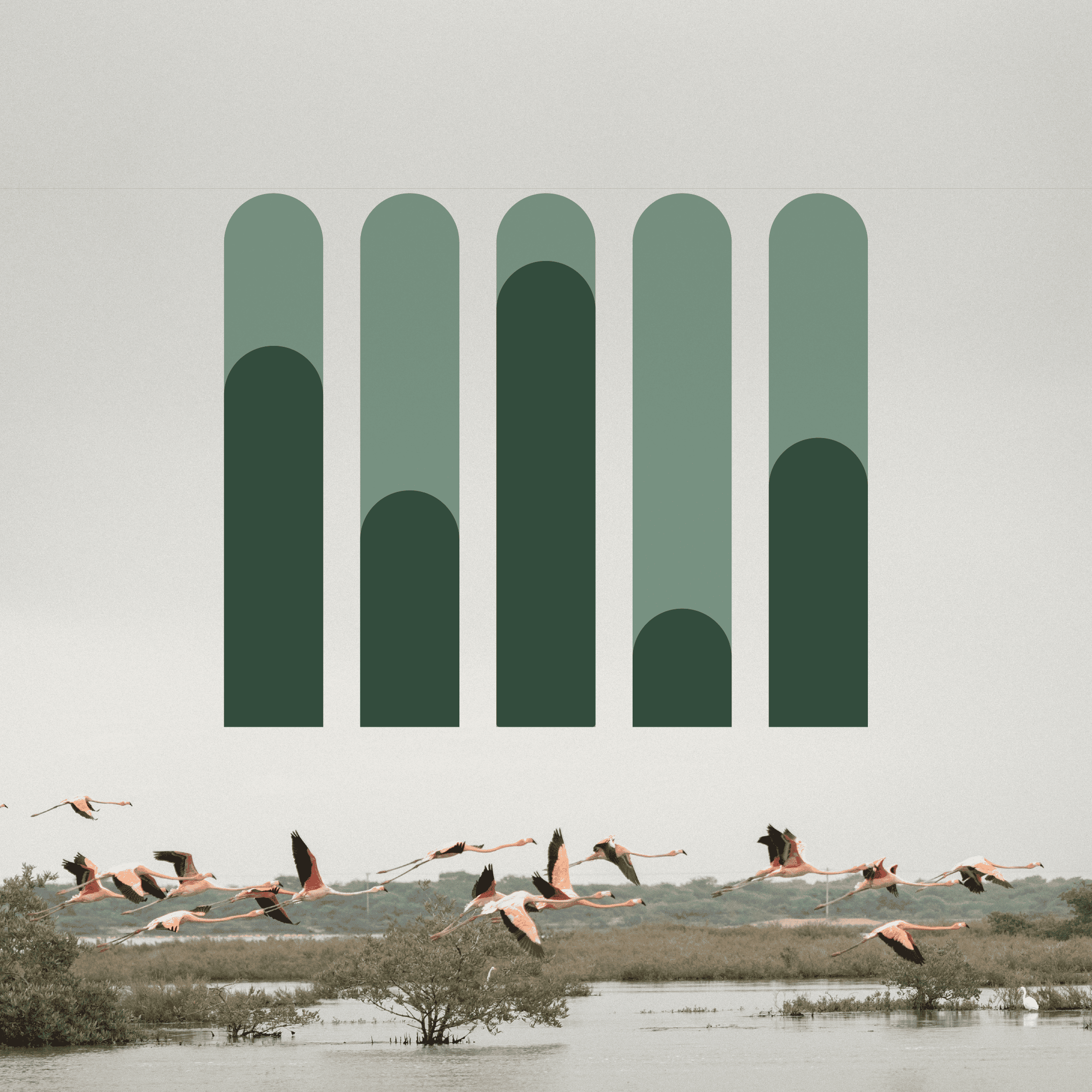 Group of flamingos flying over a wetland landscape with lush greenery and water reflections.
