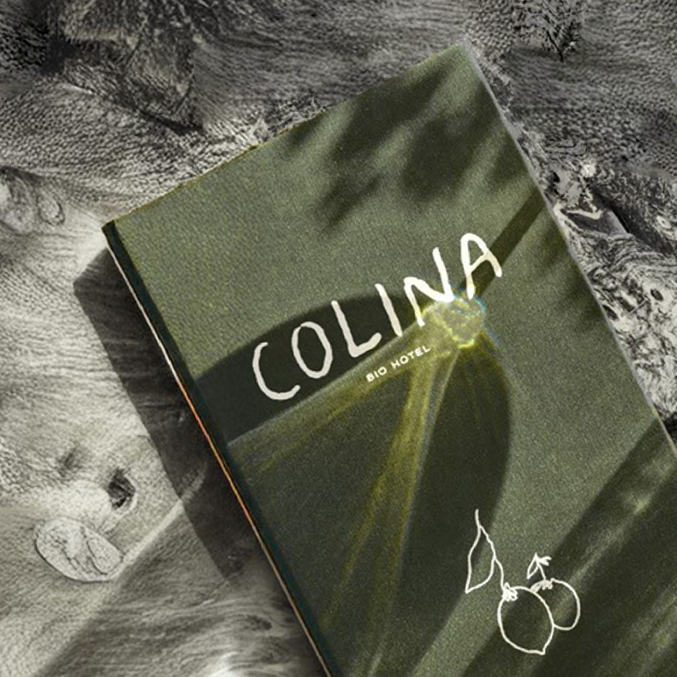 Brochure for Colina Bio Hotel with green and white design and fruit illustration.