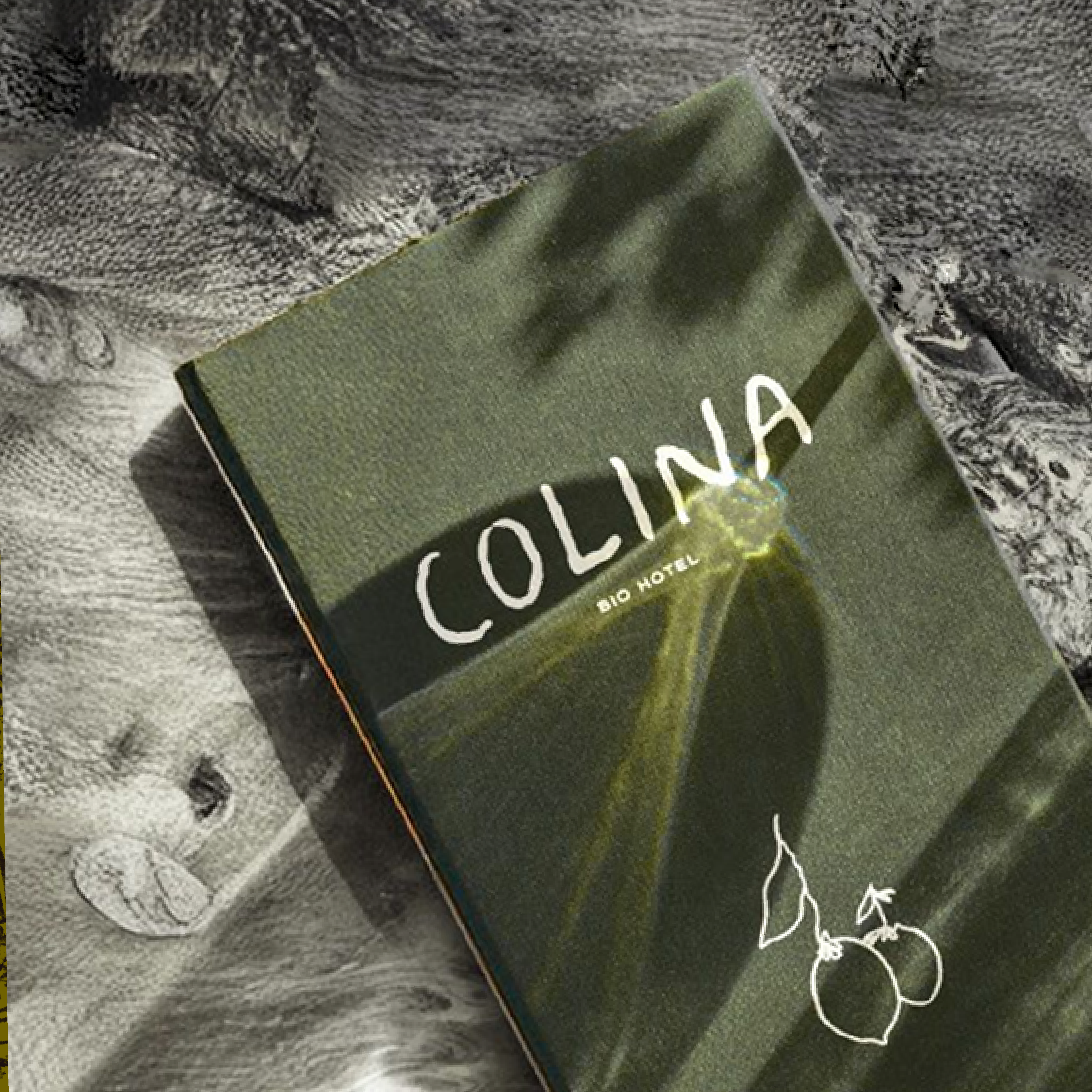 Brochure of Colina Bio Hotel showcasing eco-friendly accommodations.