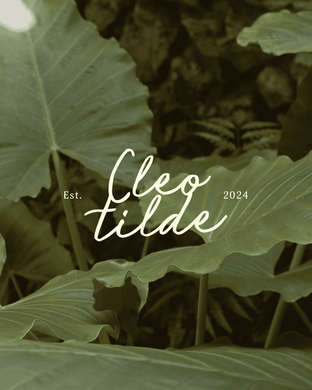 Tropical green leaves with "Cleo Tilde" text overlay, natural background.