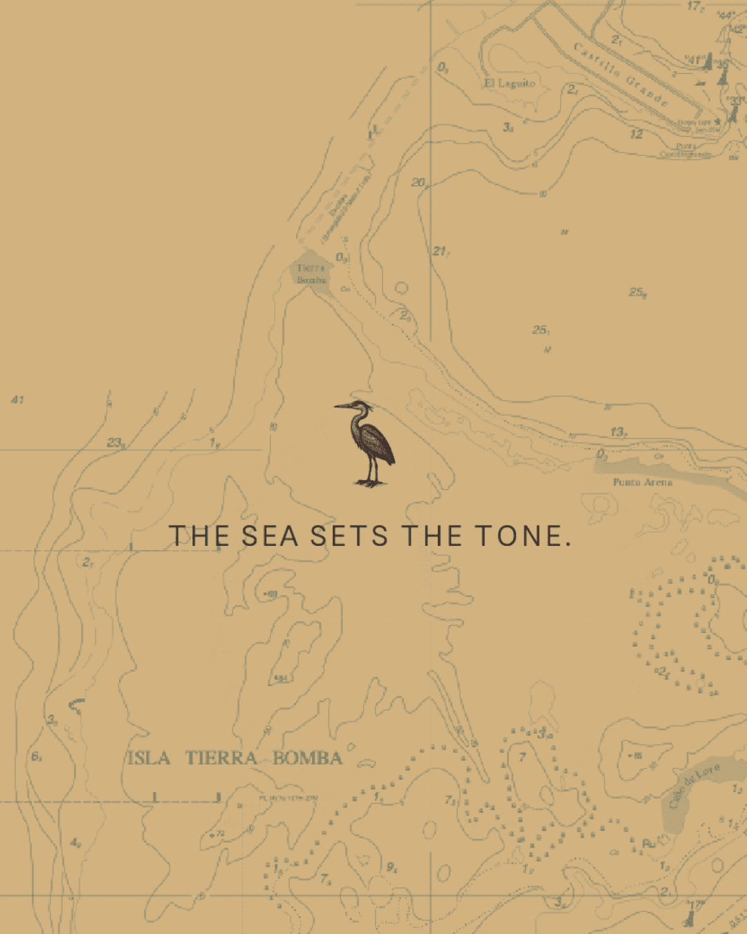 Coastal landscape featuring a bird, calm waters, and sandy shores, emphasizing tranquility and natur.