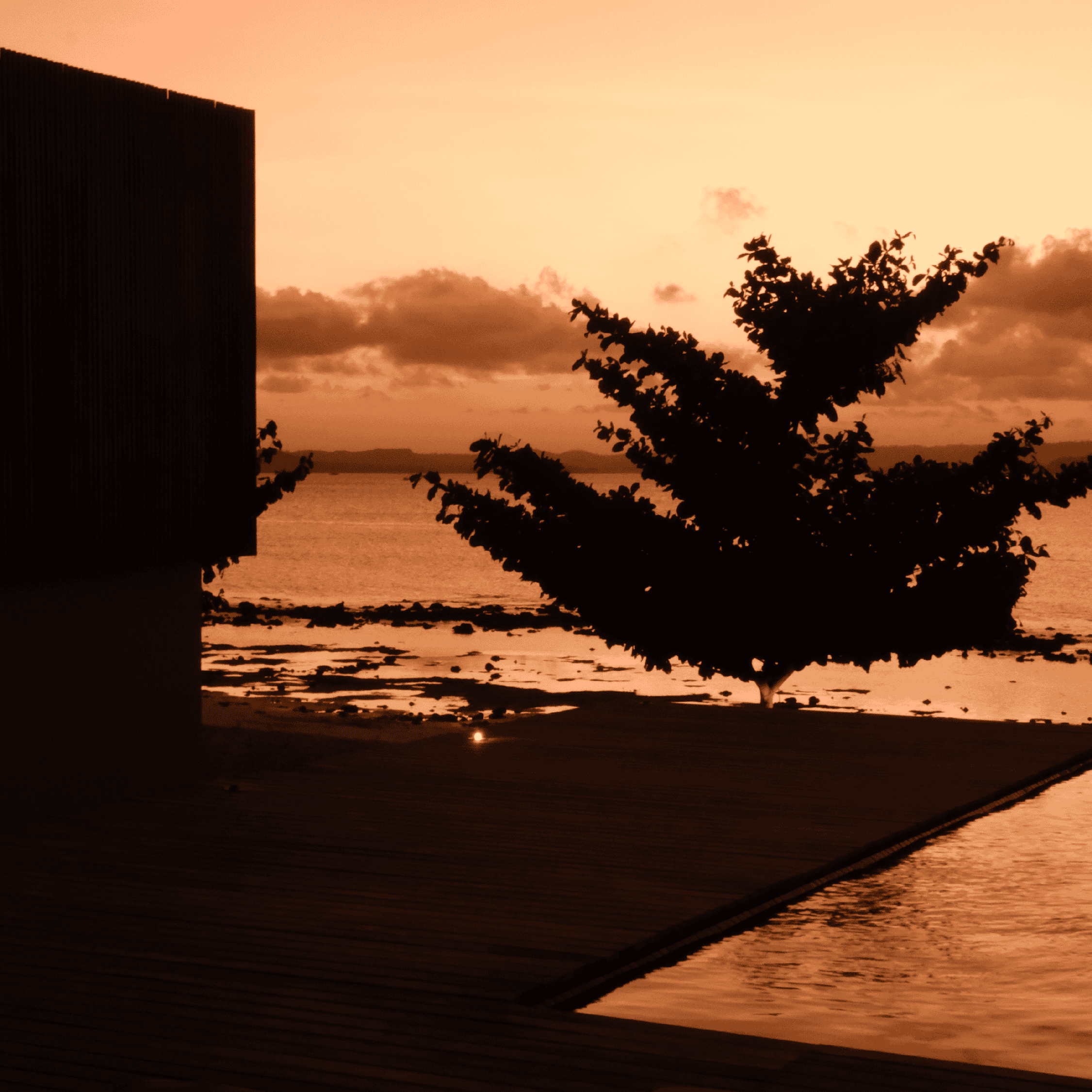 A serene sunset scene featuring a silhouetted tree and dock by the water at Butiq World.