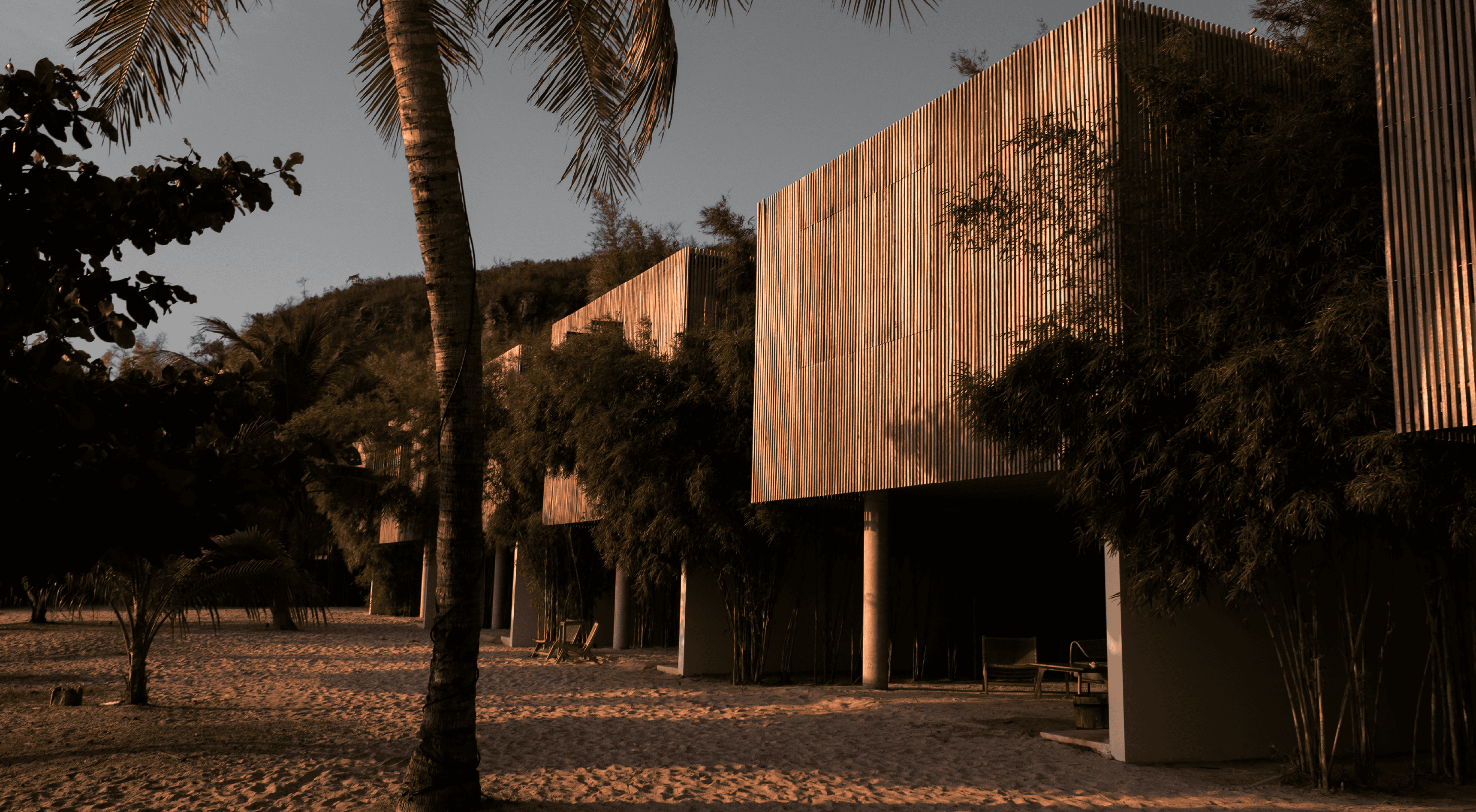 Contemporary beach villas with wooden exteriors and lush greenery, perfect for luxury seaside stays.