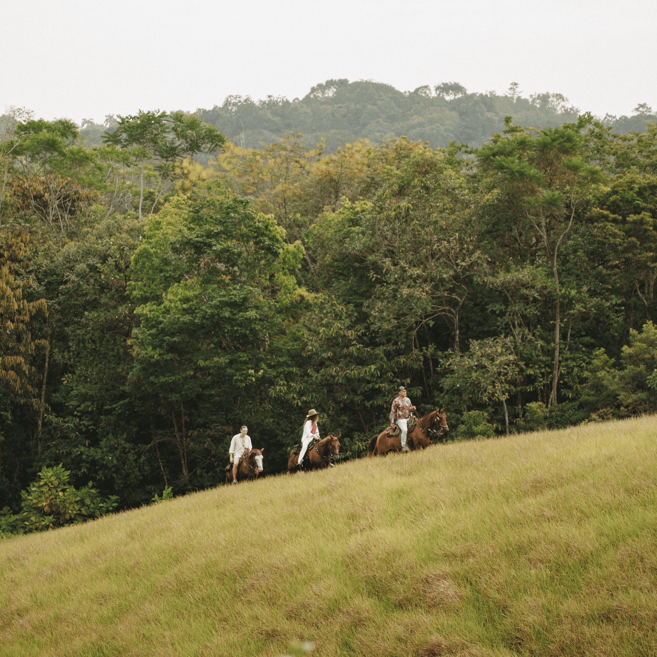 Horseback riders exploring scenic forest trail in natural environment.